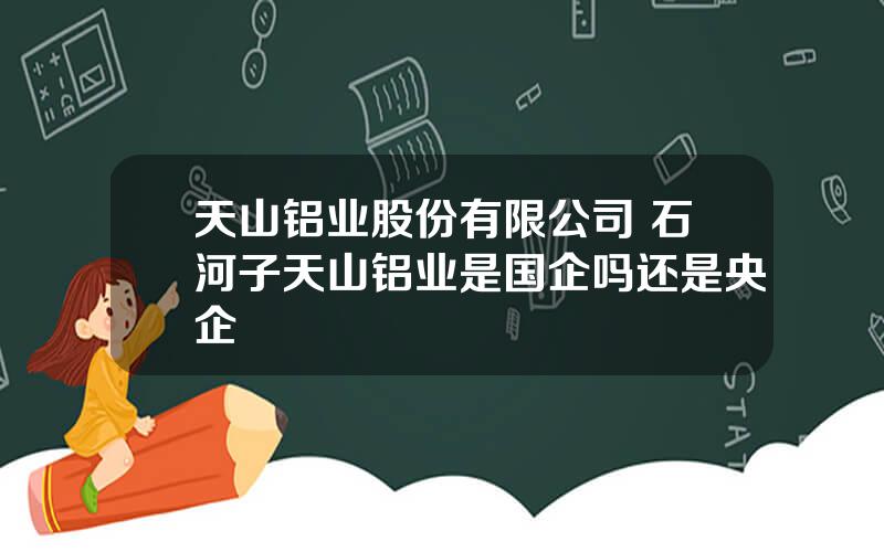 天山铝业股份有限公司 石河子天山铝业是国企吗还是央企